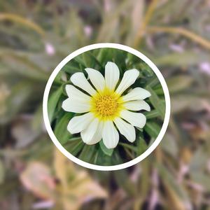 无码人妻一区二区三区精品视频
